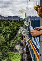 Denali Train Ride