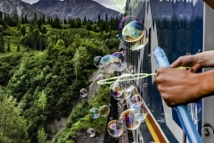 Denali Train Ride