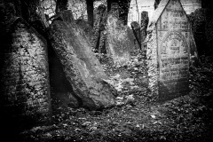 The Old Jewish Cemetery