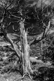 Grand Canyon III in B&W