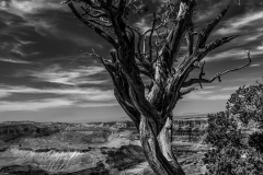 Grand Canyon II in B&W