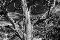 Grand Canyon III in B&W