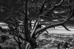 Grand Canyon in B&W