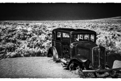 Painted Desert Relic