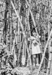 Bamboo Girl