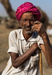 The Camel Herder of Rajasthan