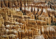 The Hoodoos