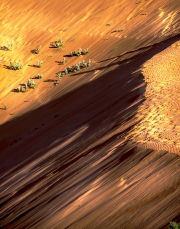 Coral Pink Sand Dunes State Paek
