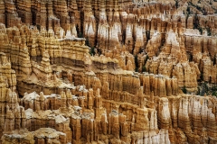 The Hoodoos