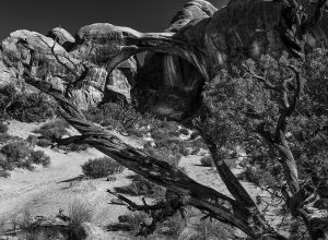 Hole in the wall formation, Arches National Park